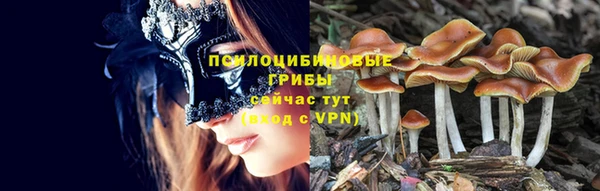 дмт Бронницы