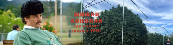 дмт Богородицк