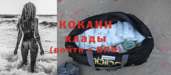 дмт Богородицк