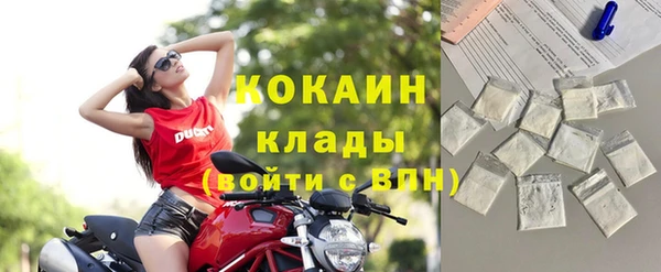 дмт Богородицк