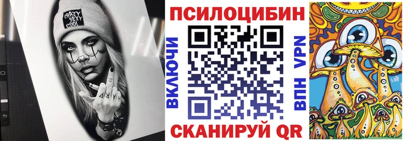 как найти Кстово Галлюциногенные грибы ЛСД