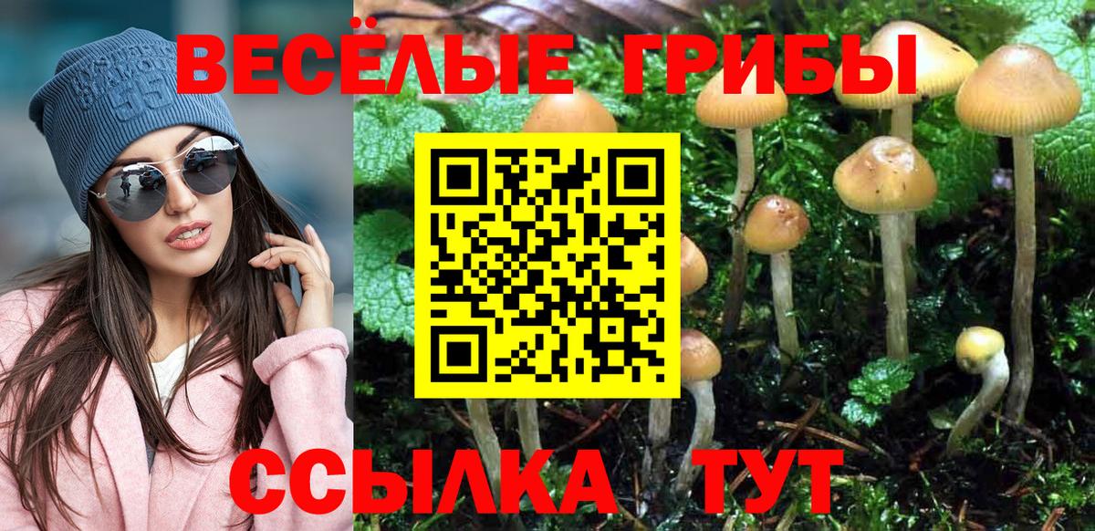 Галлюциногенные грибы Psilocybine cubensis  Вход с VPN  Кстово 